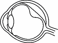 後部硝子体剥離